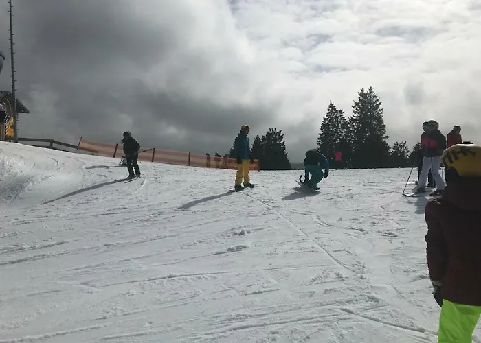 公寓 温特贝格度假公寓 *